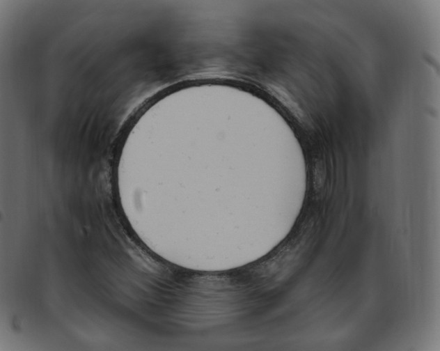 X0000096961356200803071041