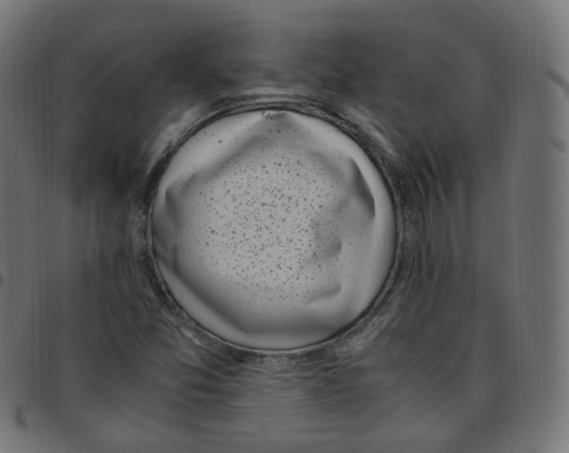 X0000096961357200803071041