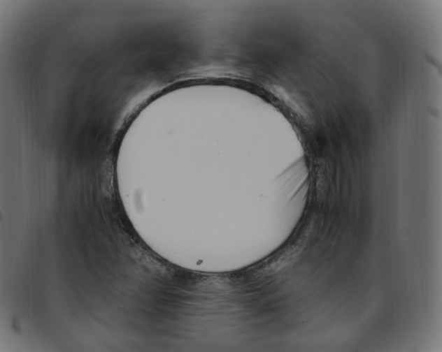 X0000096961358200803071041