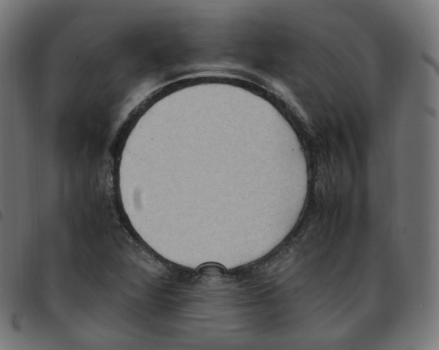 X0000096961360200803071041