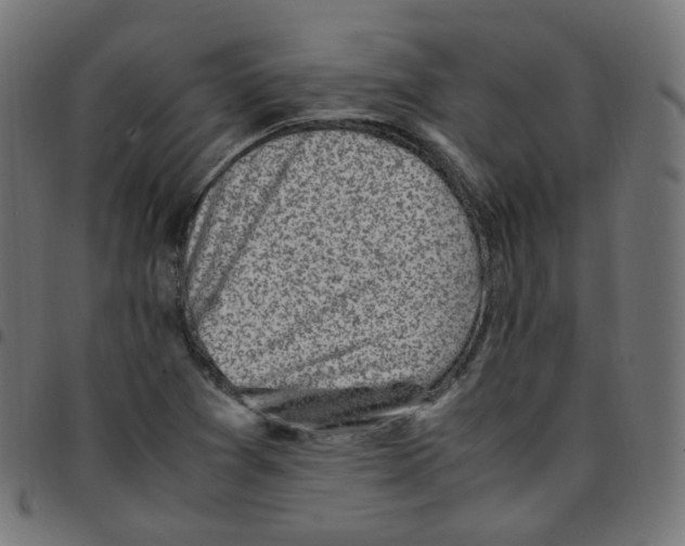 X0000096961361200803071041