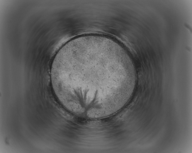 X0000096961363200803071041