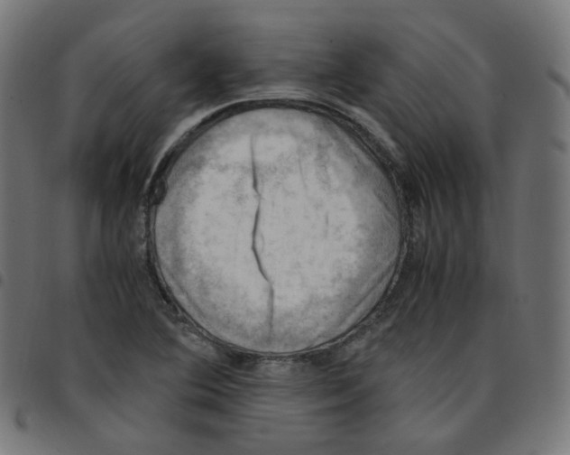 X0000096961364200803071041