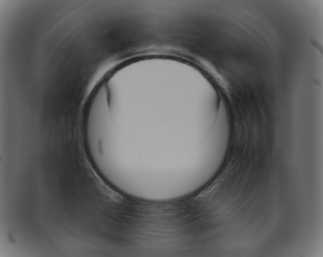 X0000096961368200803071041