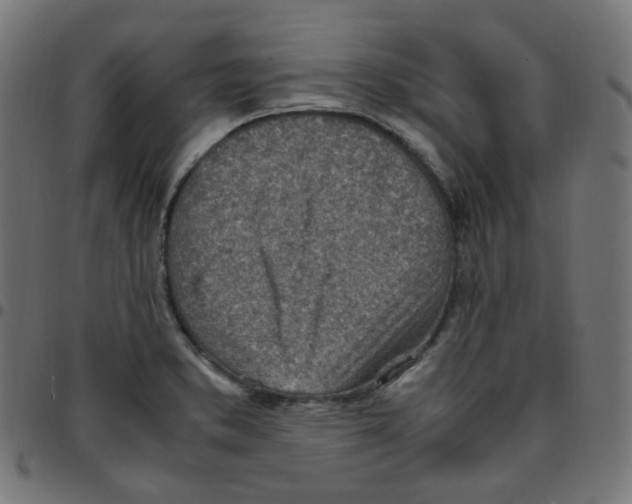 X0000096961373200803071041