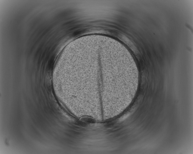 X0000096961377200803071041