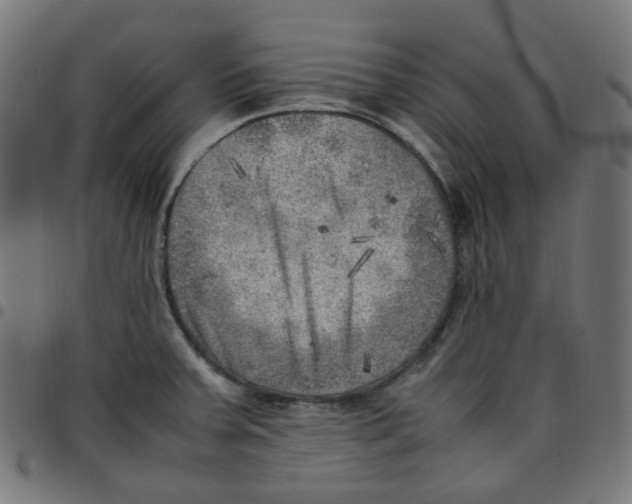 X0000096961379200803071041