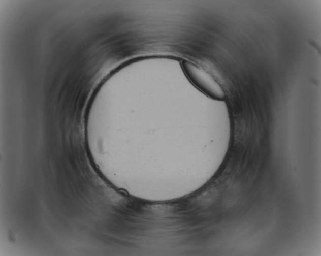 X0000096961380200803071041