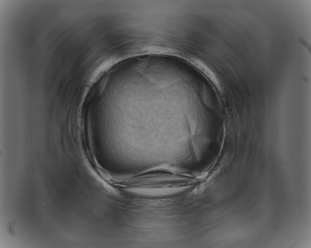 X0000096961381200803071041