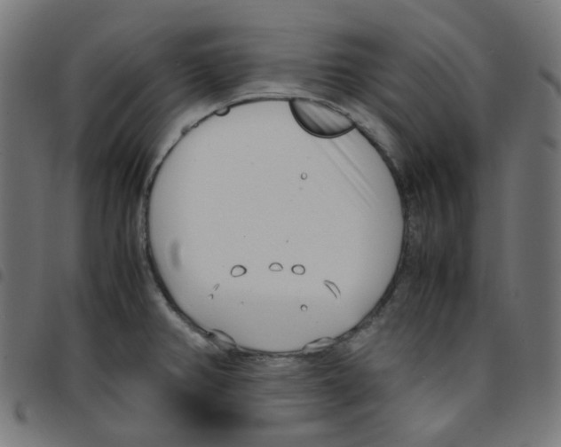 X0000096961382200803071041