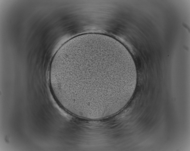 X0000096961383200803071041