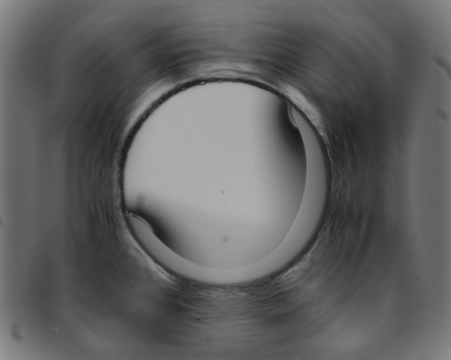 X0000096961384200803071041