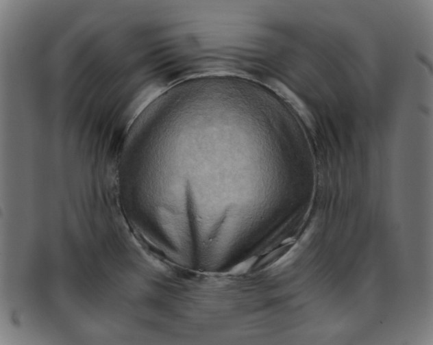 X0000096961385200803071041