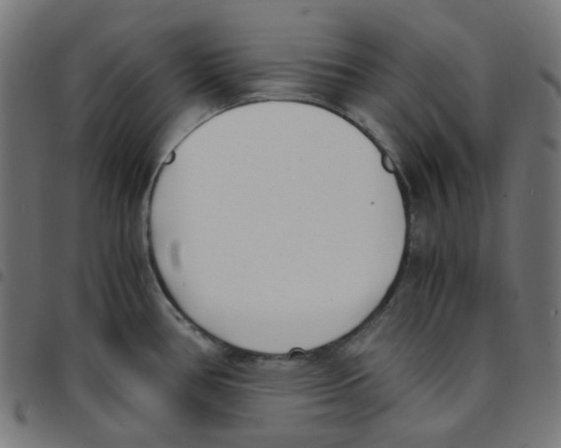 X0000096961386200803071041