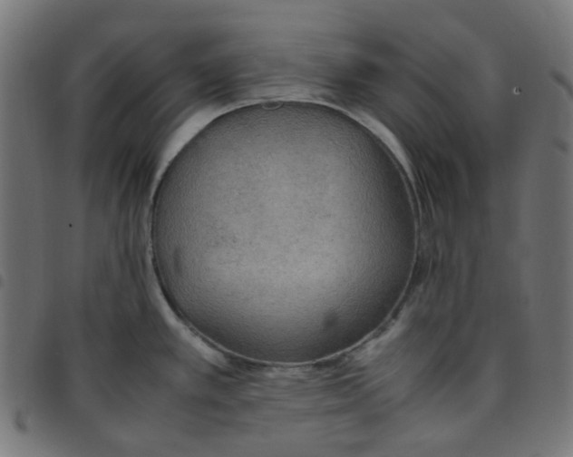 X0000096961389200803071041