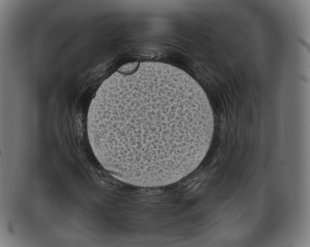 X0000096961394200803071040