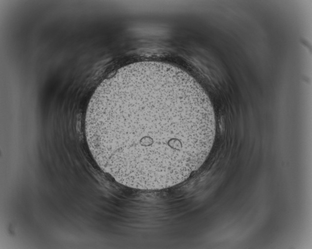 X0000096961396200803071040