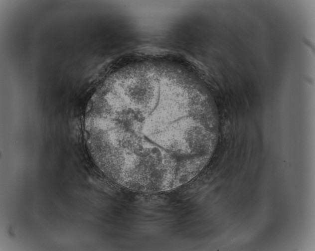 X0000096961397200803071040