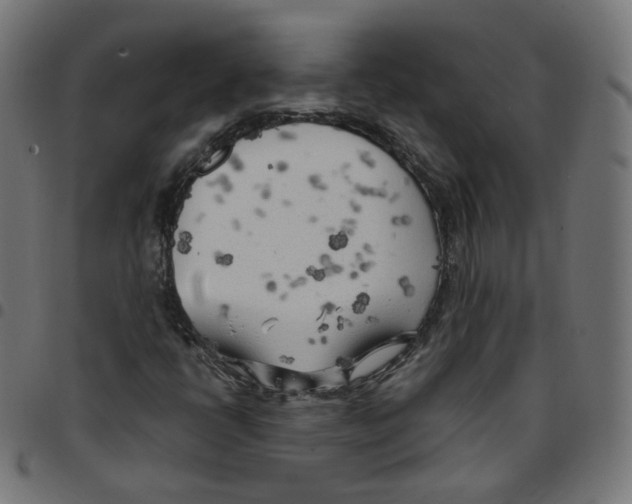 X0000096961398200803071040