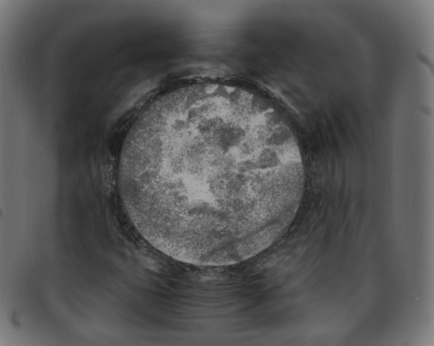 X0000096961399200803071040