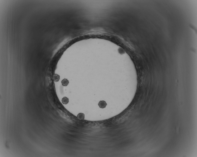 X0000096961400200803071040