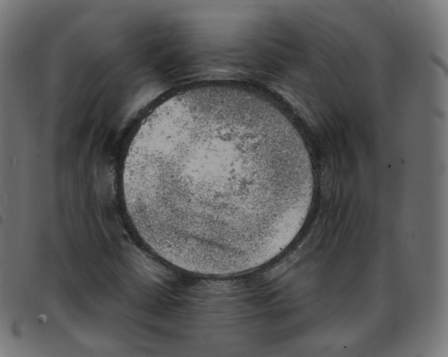 X0000096961402200803071040