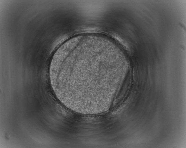 X0000096961405200803071040