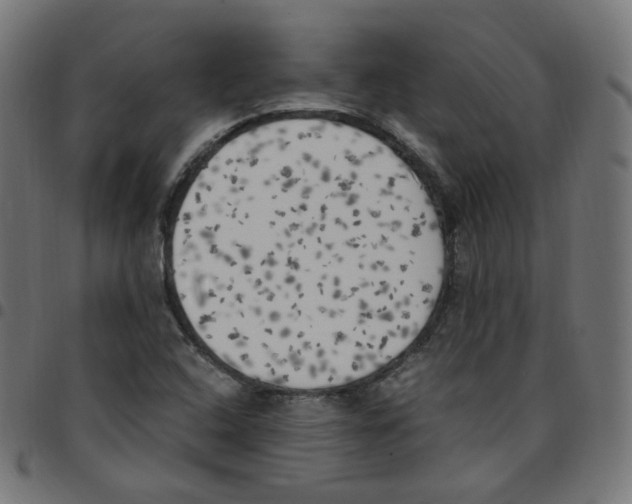 X0000096961408200803071040