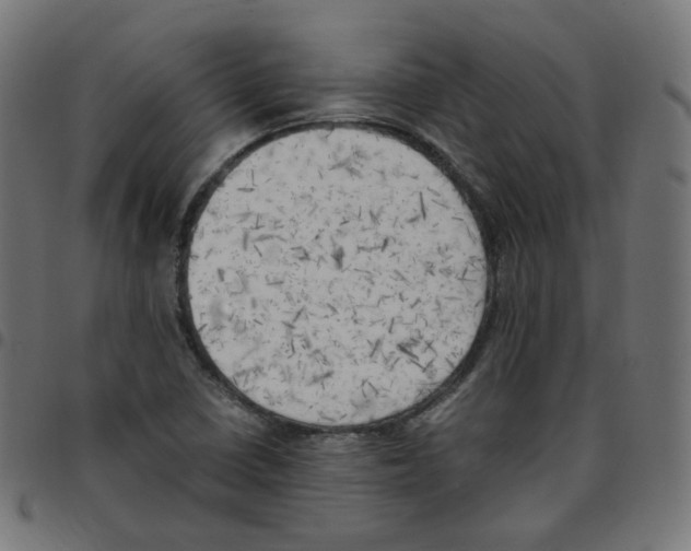 X0000096961410200803071040