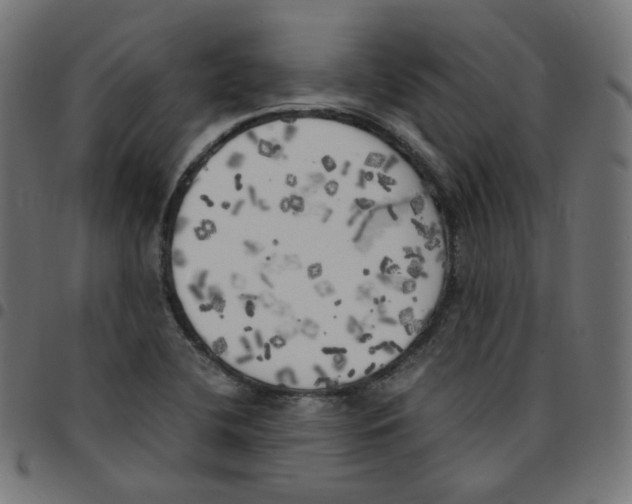 X0000096961412200803071040