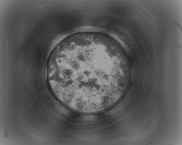 X0000096961413200803071040