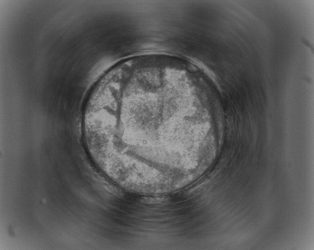 X0000096961415200803071040