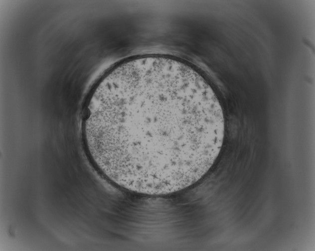 X0000096961416200803071040