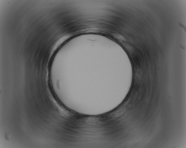 X0000096961418200803071040