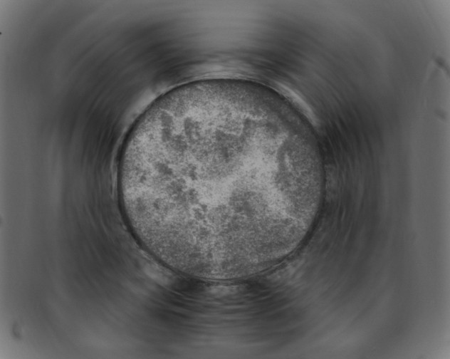 X0000096961419200803071040