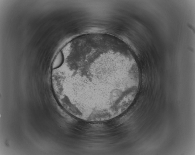 X0000096961421200803071040