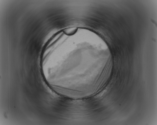 X0000096961422200803071040