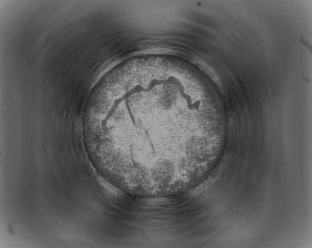 X0000096961425200803071040