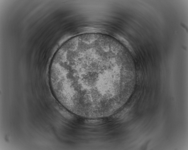 X0000096961427200803071040