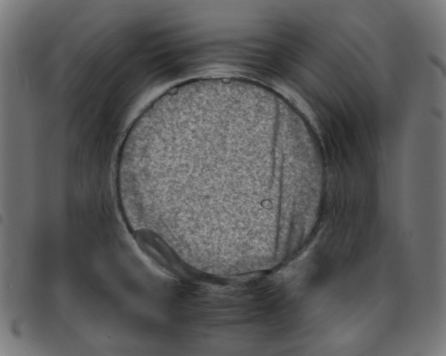 X0000096961429200803071040