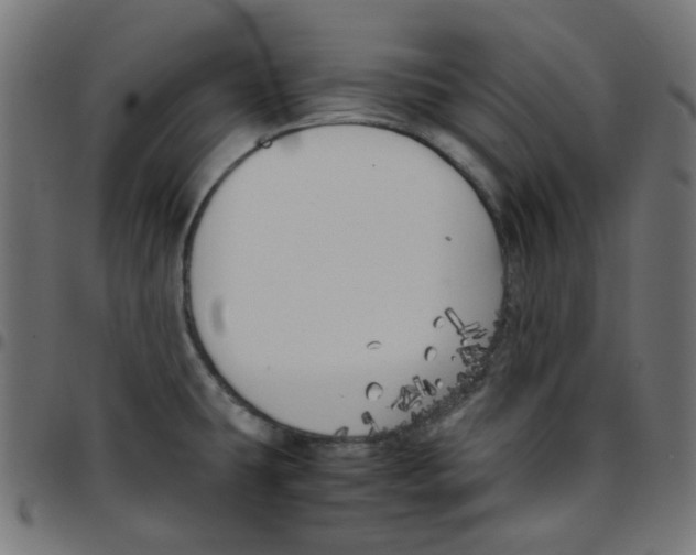 X0000096961431200803071040