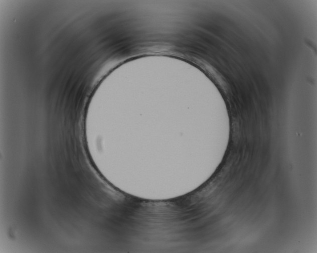 X0000096961432200803071040