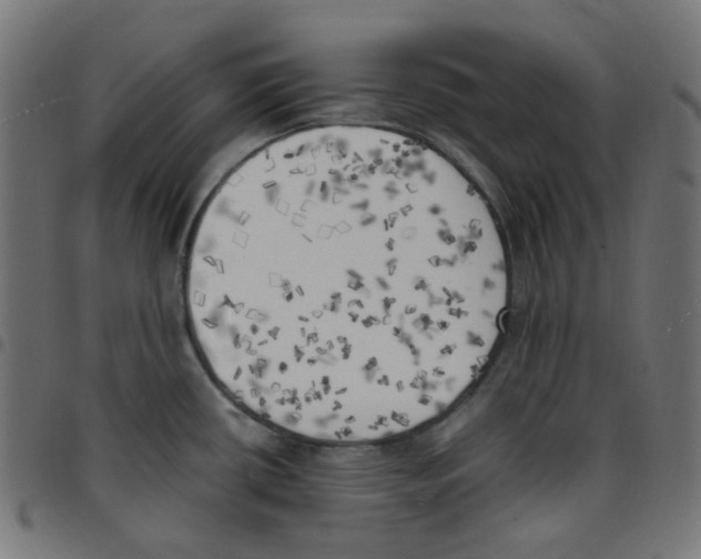 X0000096961434200803071040