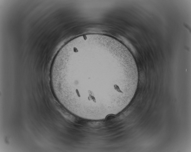 X0000096961435200803071040