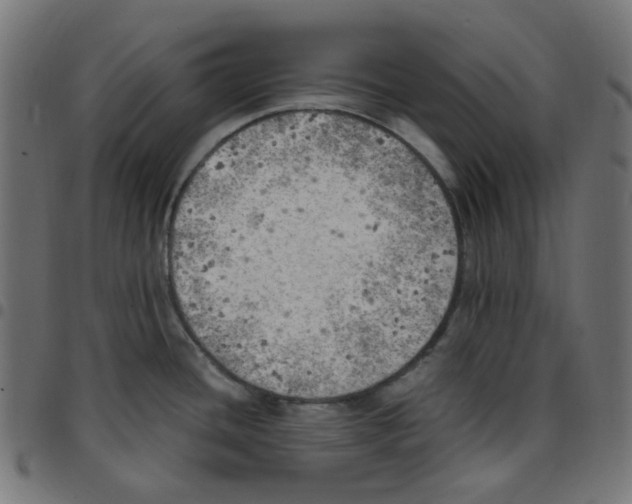 X0000096961436200803071040