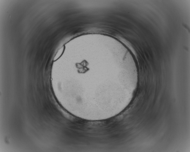 X0000096961437200803071041