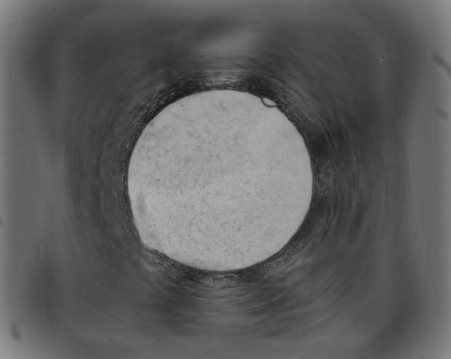 X0000096961441200803071040