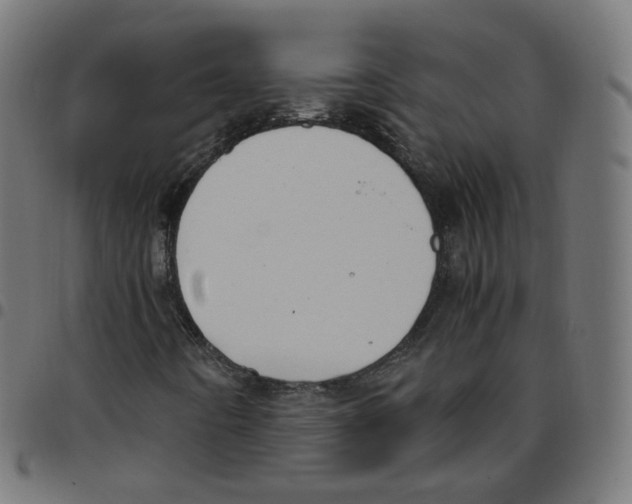 X0000096961442200803071040