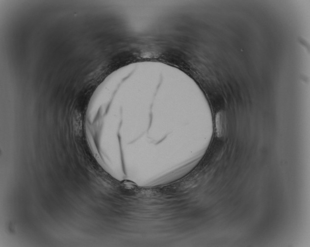 X0000096961443200803071040