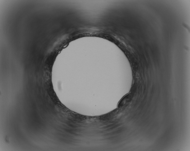 X0000096961447200803071040